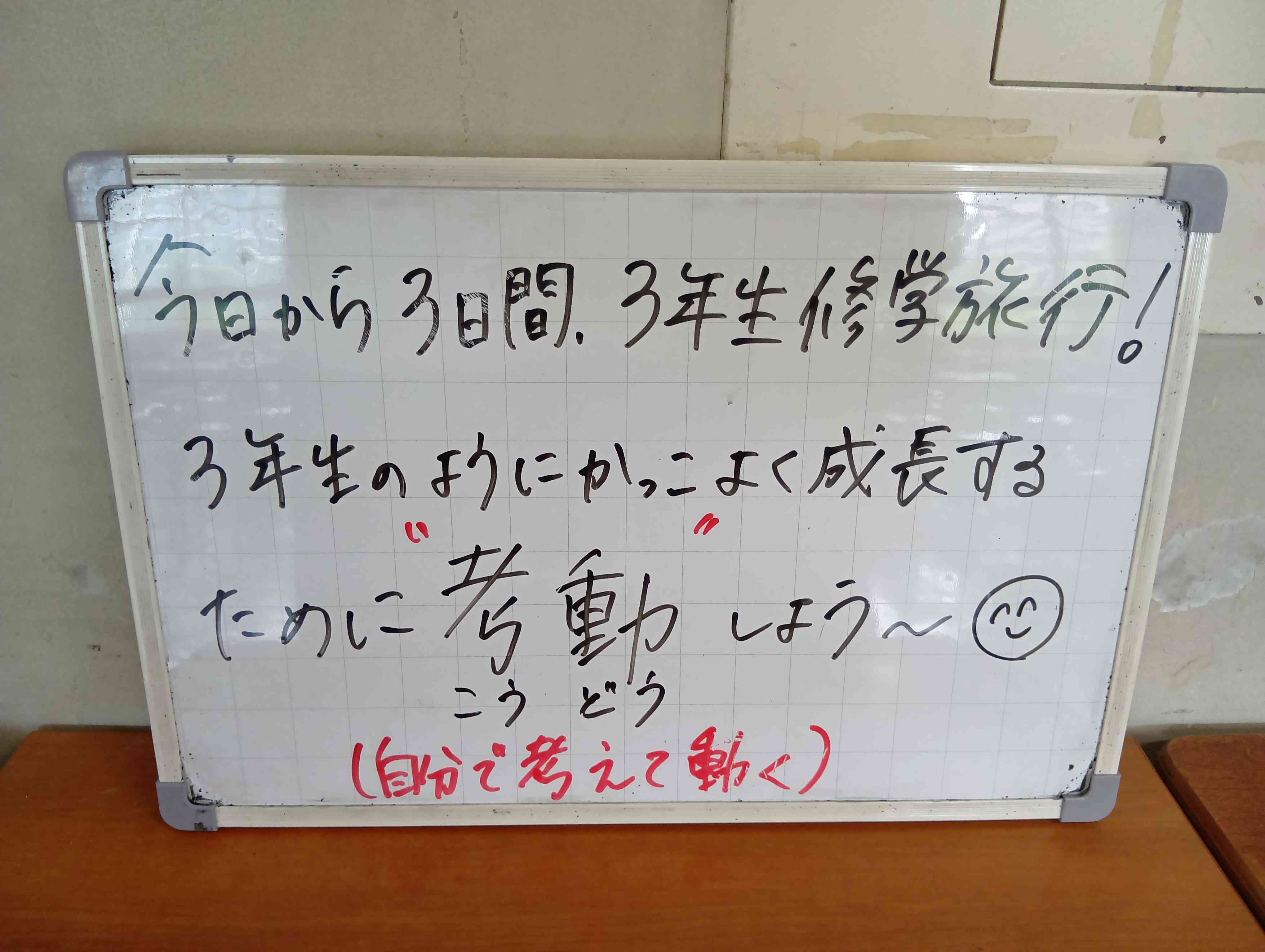 260528080454059
