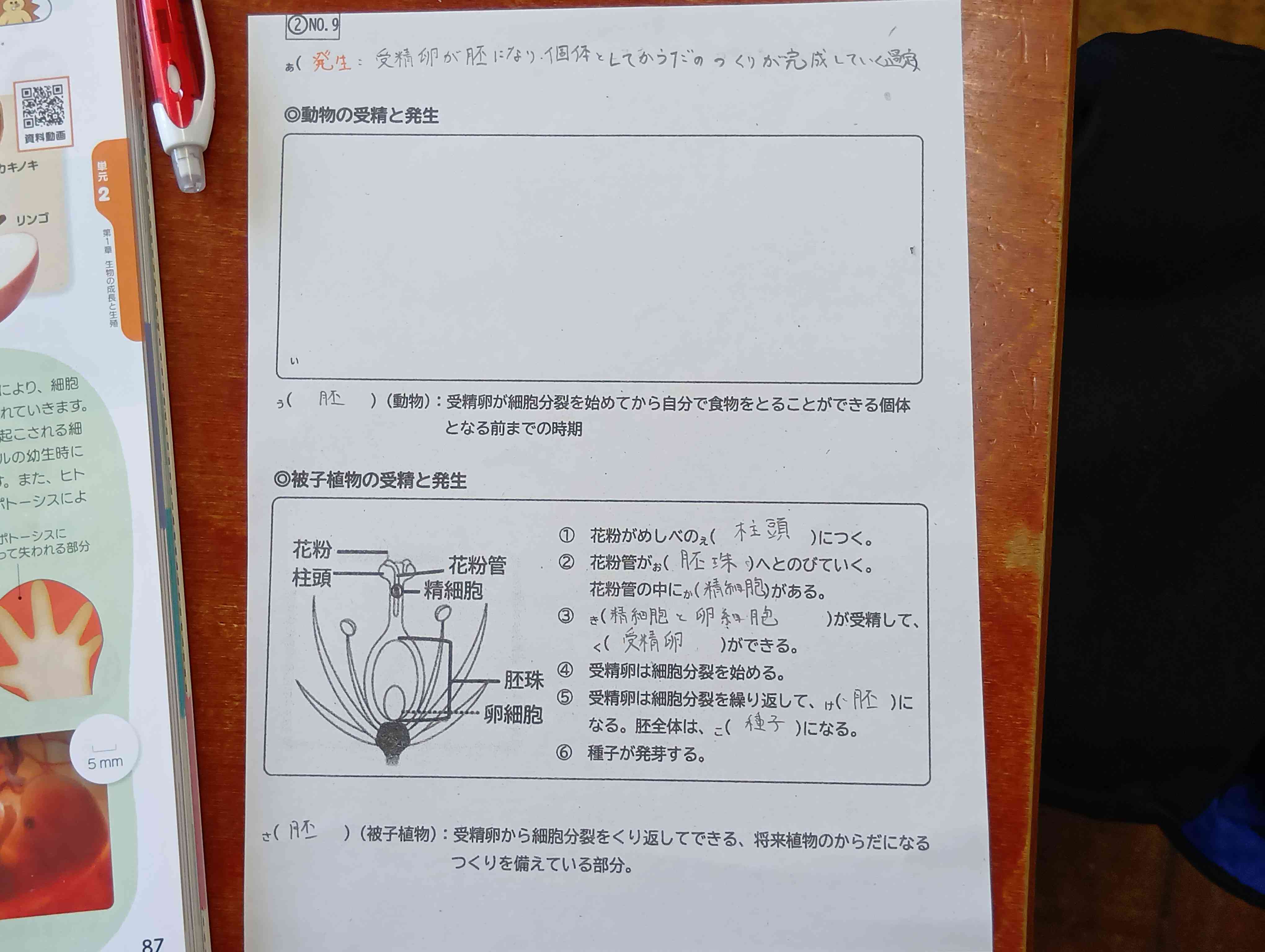 260617112944872